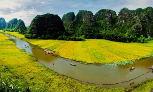 Hanoi - Halong - Ninh Binh - Water Puppet show-Buffet dinner (5ds 4ns Package)