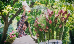 Hanoi City One day trip
