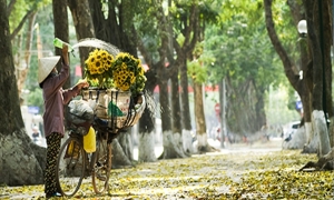 Hanoi City One day trip