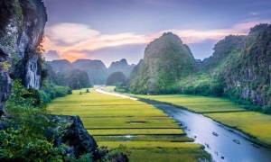 Hanoi - Halong - Ninh Binh - Water Puppet show-Buffet dinner (5ds 4ns Package)