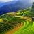 Hanoi-Halong bay-Sapa-City tour (7ds 6ns Package)