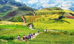 Sapa by bus 2 days 01 night