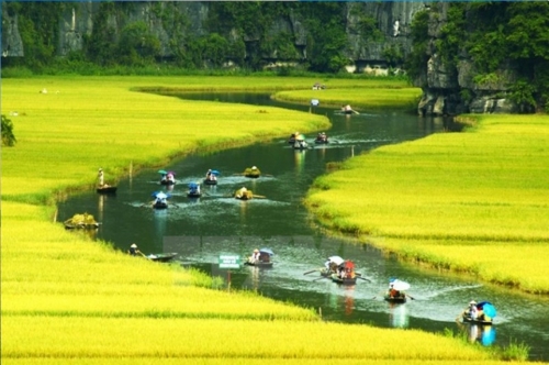 Hoa Lu - Tam Coc 01 Day trip