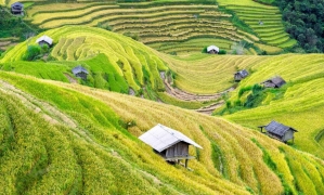 Sapa Medium Trekking 03 Nights & 03 Days (By bus)